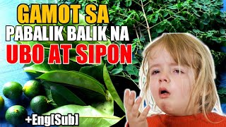 MABISANG GAMOT SA PABALIK BALIK NA UBO AT SIPON  HALAMANG GAMOT [upl. by Matazzoni560]