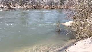 Kern River Report and fishing tip March 27 2023 [upl. by Guimond]