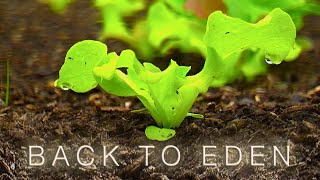 Back To Eden Gardening Documentary Film  How to Grow a Regenerative Organic Garden [upl. by Everara]