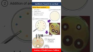 Antibiotic sensitivity KirbyBauer disk diffusion method [upl. by Veda]