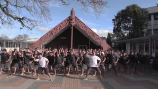 TBC College Haka for Peter Burling [upl. by Nidla]