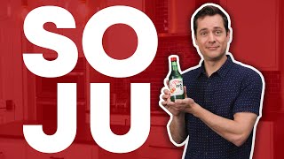 Soju Review You Asked For It And I Think I Did It  Unemployed Wine Guy [upl. by Anirehtac11]