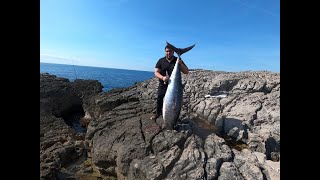 59 KG TUNA LANDBASED WITH SHORE JIGGING TACKLE [upl. by Onil]