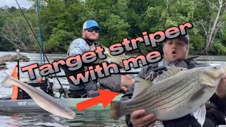 Target striped bass with me [upl. by Schechter]