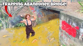 Trapping AQUARIUM FIsh From ABANDONED Bridge [upl. by Fax121]