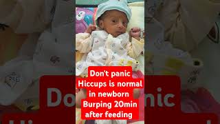 Dont panic hiccups is normal in newborn hiccups babyshorts [upl. by Roth82]