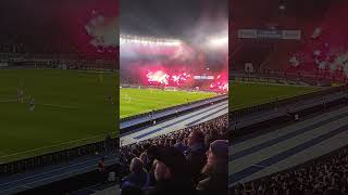 Köln im Pokal UND Rückspiel sehen wir uns wieder 💙🤍🔥der Rasen [upl. by Pytlik]