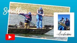 Crazy PreSpawn Smallmouth Bass Bite on Lake Audubon [upl. by Oirelav]