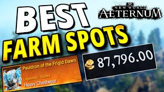 New Players Need To know These Farm Spots New World Aeternum [upl. by Lowrie]