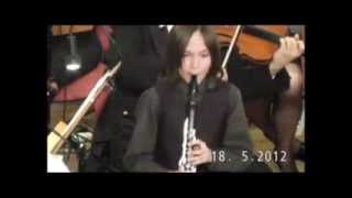 Carl Stamitz Clarinet Concerto Klarinettenkonzert No 3  1Allegro [upl. by Bink]