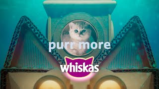 Curious kitten dives into delicious Whiskas® Junior [upl. by Nona596]