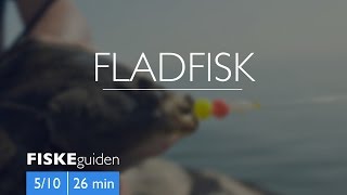 FISKEguiden 510 Fladfisk [upl. by Kohsa]