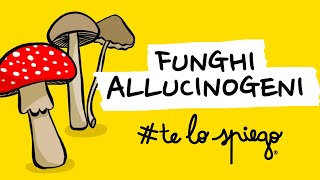 TUTTO QUELLO CHE DEVI SAPERE SUI FUNGHI ALLUCINOGENI E LA PSILOCIBINA  TELOSPIEGO [upl. by Vicki]