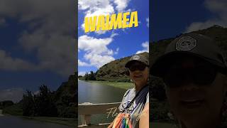 Playa Waimea 🏝️ Waimea beach oahuhawaii travel withpower [upl. by Ecerahs]