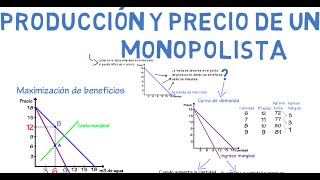 Monopolio  Cap 20  Microeconomía [upl. by Criswell164]