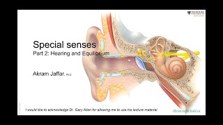 ANAT101019Hearing and equilibrium [upl. by Garald988]