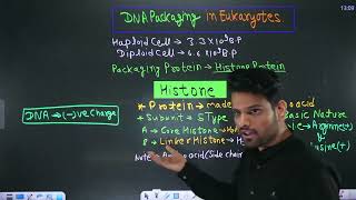 Molecular Basis of inheritance  DNA packaging [upl. by Macario]