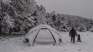 Hot Tent Camping in Heavy Snowfall With My Dog  Winter Camping Wood Stove Cold Weather [upl. by Marcin]