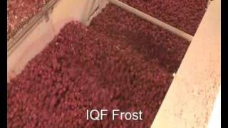 OctoFrost™ Frozen Berries Raspberries [upl. by Ahsinel]