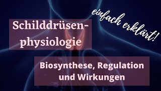 Schilddrüse und Schilddrüsenhormone  Biosynthese Regulation und Wirkungsmechanismus  Physiologie [upl. by Dnalhsa]