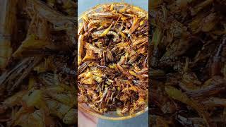 Belalang Goreng Pedas fypシ゚viral shots [upl. by Yecnahc604]