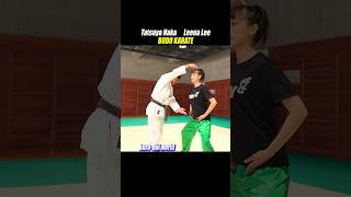 The magic of the hip joint【KARATE】 [upl. by Ashil]