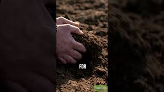 Soil science soil funfacts education [upl. by Ellerehs335]