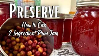 NO PECTIN Plum Jam Recipe [upl. by Nnaitsirhc]