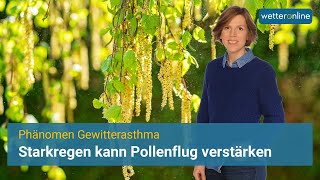 Starkregen kann Pollenflug verstärken  Phänomen Gewitterasthma [upl. by Ilaire]