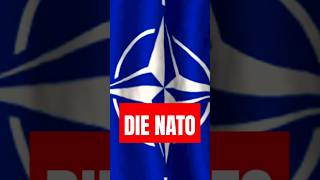 Die Nato kurz erklärt [upl. by Ellenad]