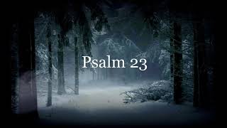 Psalm 23 The Lord is my Shepherd  Clear Audio and Text  The Catholic Lady [upl. by Terchie]