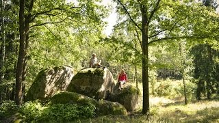 Erholungs und Regenerationsraum Wald [upl. by Gerrald]