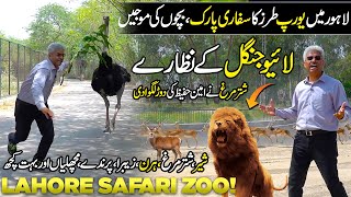 Exploring Lahore Safari Zoo  Live Zoo Like Europe  Amazing Place For Picnic  Discover Pakistan [upl. by Dygall]