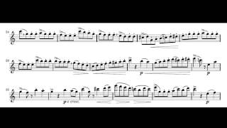 Giuseppe Gariboldi Etudes mignonnes for flute op131 NO 1 [upl. by Reed518]