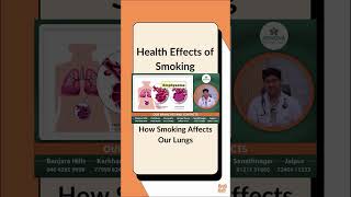 Health Effects of Smoking  Side Effects  How Smoking Affects Our Lungs  Marella Health [upl. by Hserus886]