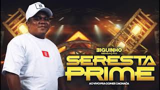 BIGUINHO SENSAÇÃO AO VIVO EM SANTARÉM PA 2024 PARTE 02  SERESTA PRIME [upl. by Sebastiano647]