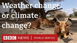 When does weather change become climate change  BBC World Service [upl. by Edas853]