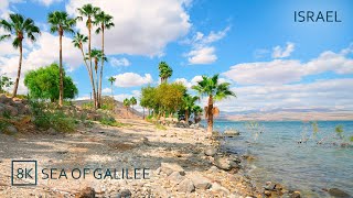 Relaxing Walk along the Shores of the SEA OF GALILEE all episodes [upl. by Max916]