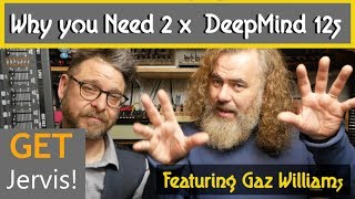 Why You Need 2 Behringer Deepmind 12s The Ultimate Deepmind 24 [upl. by Tlihcox617]