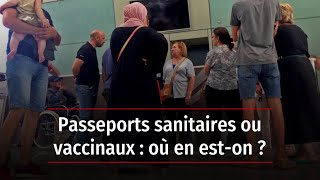 Passeports sanitaires ou vaccinaux  où en eston [upl. by Beverly]