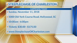 Steeplechase of Charleston [upl. by Aleemaj]