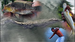 DANGEROUS CROCODILE HUNTING SLINGSHOT spearfishing snook sandwich [upl. by Elpmet]