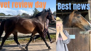 BEST NEWS EVER VET REVIEW DAY MD equestrian [upl. by Huttan]