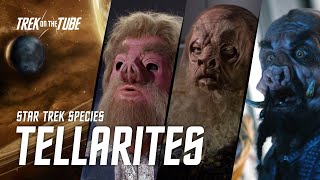 STAR TREK SPECIES  Tellarites [upl. by Ziguard]