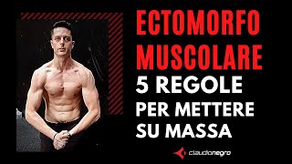 Ectomorfo Muscolare 5 regole fondamentali per mettere su massa muscolare [upl. by Ricky]