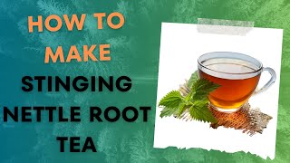 How To Make Stinging Nettle Root Tea [upl. by Gaspard]