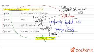 Schneiderian membrane is present at [upl. by Naveb]