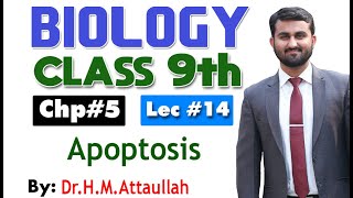 Apoptosis  Cell cycle  Chapter 5  9th class Biology  Lec14 [upl. by Seton]