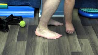 Tibialis Posterior and Fibularis Longus Rehabilitation [upl. by Ailero]