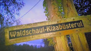 Adolar erkundet WaldschaulKlaabüsterul [upl. by Graig]